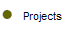 Projects