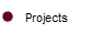 Projects